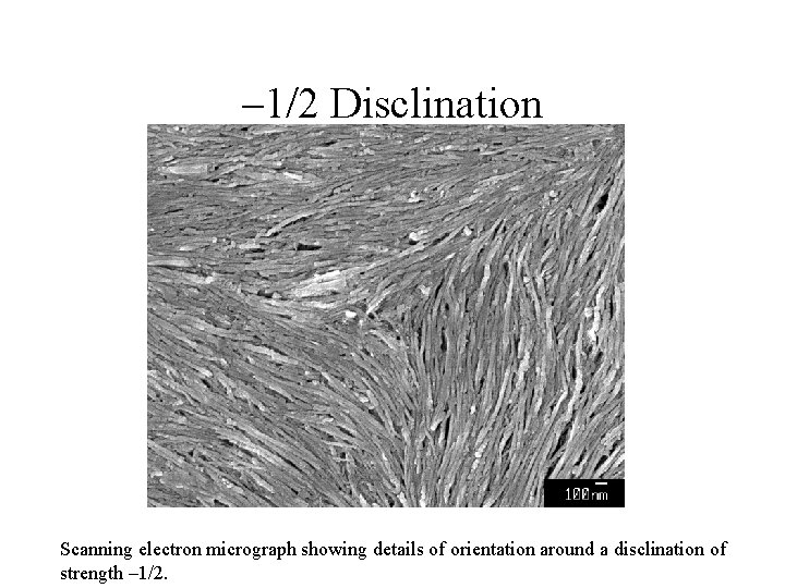 – 1/2 Disclination Scanning electron micrograph showing details of orientation around a disclination of