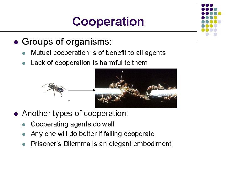 Cooperation l Groups of organisms: l l l Mutual cooperation is of benefit to