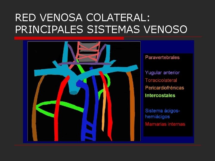 RED VENOSA COLATERAL: PRINCIPALES SISTEMAS VENOSO RED VENOSA COLATERAL: PRINCIPALES SISTEMAS VENOSO