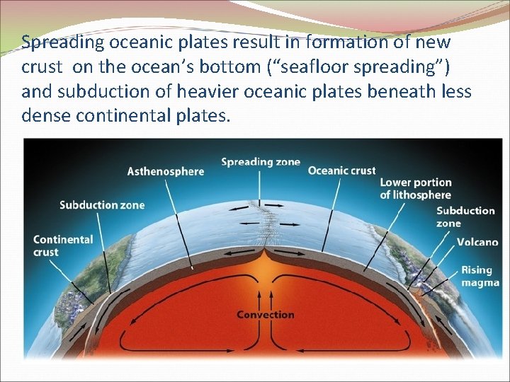 Spreading oceanic plates result in formation of new crust on the ocean’s bottom (“seafloor Spreading oceanic plates result in formation of new crust on the ocean’s bottom (“seafloor
