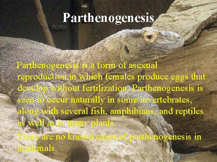 Parthenogenesis is a form of asexual reproduction in which females produce eggs that develop
