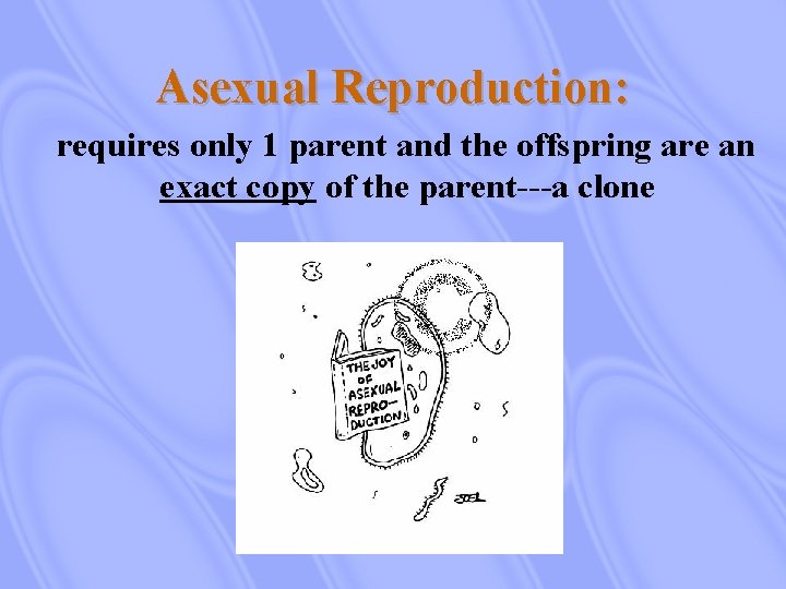 Asexual Reproduction: requires only 1 parent and the offspring are an exact copy of