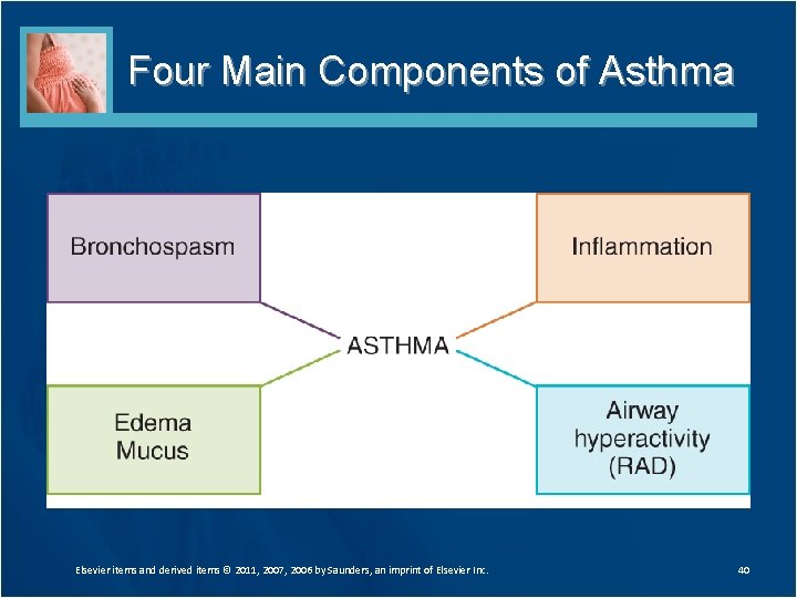 Four Main Components of Asthma Elsevier items and derived items © 2011, 2007, 2006 Four Main Components of Asthma Elsevier items and derived items © 2011, 2007, 2006