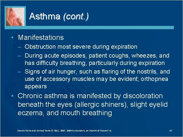 Asthma (cont. ) • Manifestations – Obstruction most severe during expiration – During acute Asthma (cont. ) • Manifestations – Obstruction most severe during expiration – During acute
