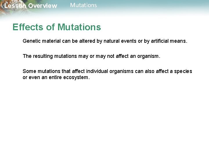 Lesson Overview Mutations Effects of Mutations Genetic material can be altered by natural events Lesson Overview Mutations Effects of Mutations Genetic material can be altered by natural events