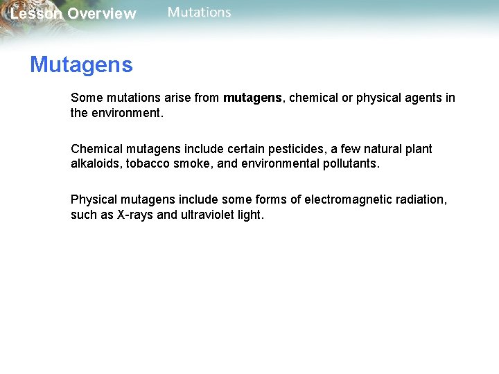 Lesson Overview Mutations Mutagens Some mutations arise from mutagens, chemical or physical agents in Lesson Overview Mutations Mutagens Some mutations arise from mutagens, chemical or physical agents in
