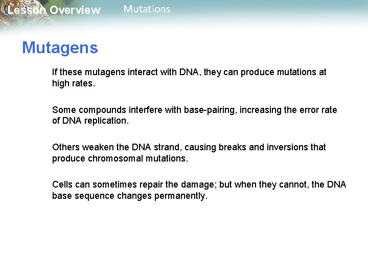 Lesson Overview Mutations Mutagens If these mutagens interact with DNA, they can produce mutations Lesson Overview Mutations Mutagens If these mutagens interact with DNA, they can produce mutations