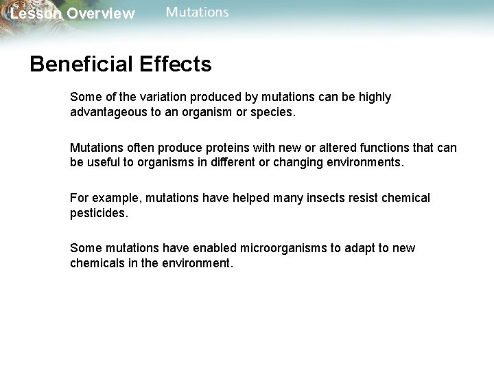 Lesson Overview Mutations Beneficial Effects Some of the variation produced by mutations can be Lesson Overview Mutations Beneficial Effects Some of the variation produced by mutations can be