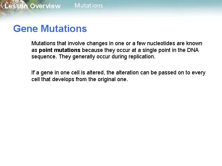 Lesson Overview Mutations Gene Mutations that involve changes in one or a few nucleotides Lesson Overview Mutations Gene Mutations that involve changes in one or a few nucleotides