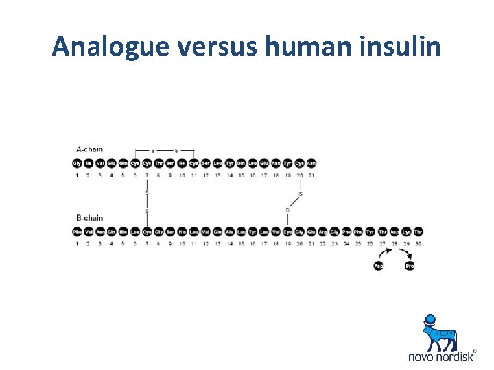 Analogue versus human insulin 