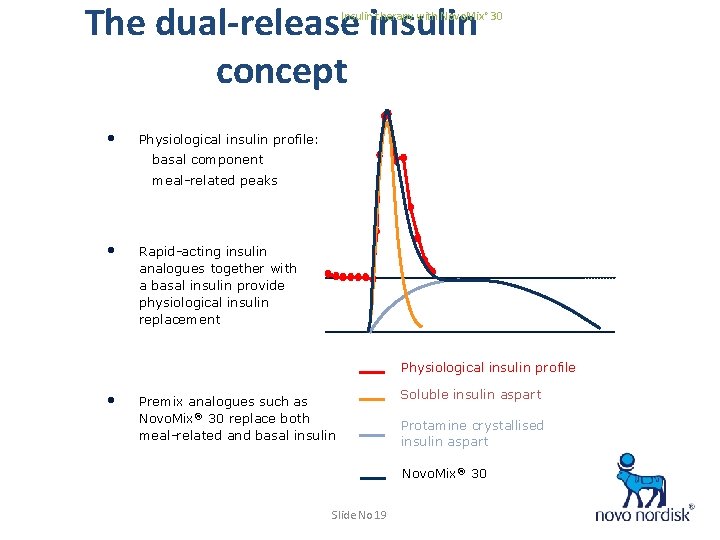The dual-release insulin concept Insulin therapy with Novo. Mix® 30 • Physiological insulin profile:
