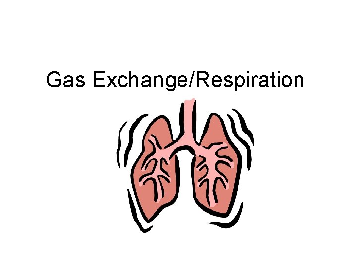 Gas Exchange/Respiration 