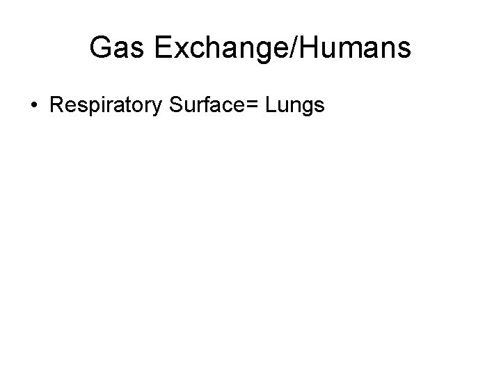 Gas Exchange/Humans • Respiratory Surface= Lungs 