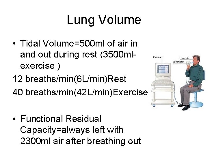 Lung Volume • Tidal Volume=500 ml of air in and out during rest (3500