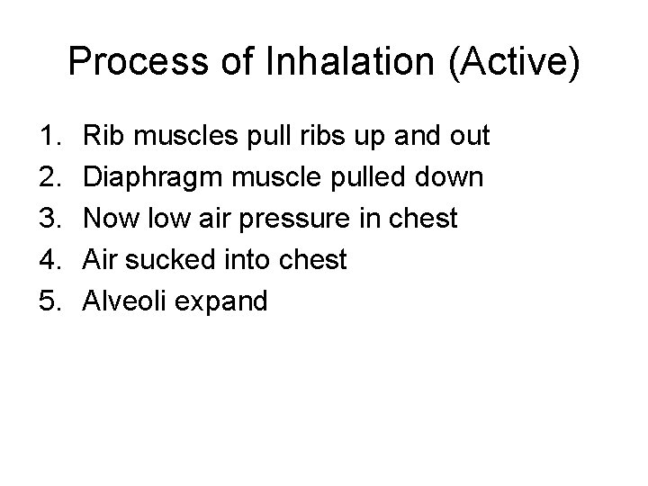 Process of Inhalation (Active) 1. 2. 3. 4. 5. Rib muscles pull ribs up