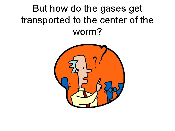 But how do the gases get transported to the center of the worm? 