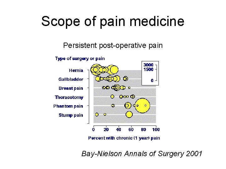 Scope of pain medicine Persistent post-operative pain Bay-Nielson Annals of Surgery 2001 Scope of pain medicine Persistent post-operative pain Bay-Nielson Annals of Surgery 2001