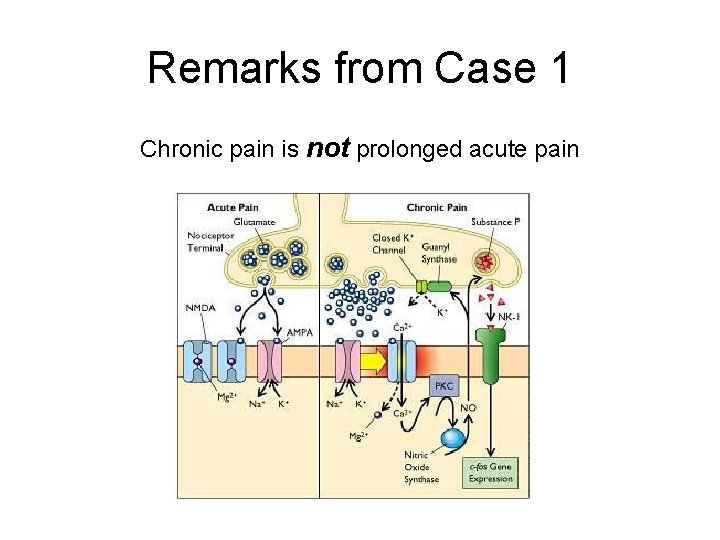 Remarks from Case 1 Chronic pain is not prolonged acute pain Remarks from Case 1 Chronic pain is not prolonged acute pain