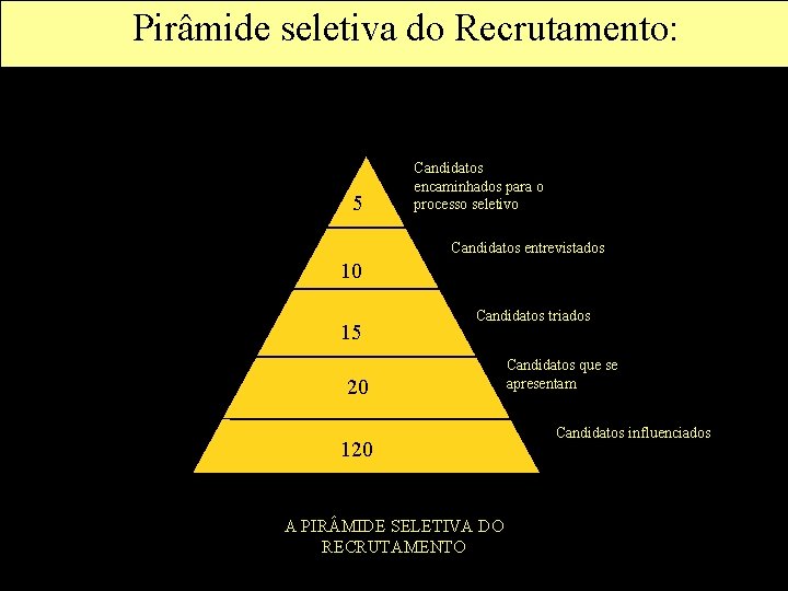 Pirâmide seletiva do Recrutamento: Candidatos encaminhados para o processo seletivo 5 Candidatos entrevistados 10