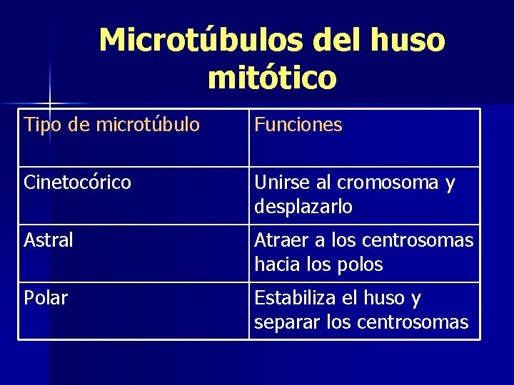 Microtúbulos del huso mitótico Tipo de microtúbulo Funciones Cinetocórico Unirse al cromosoma y desplazarlo