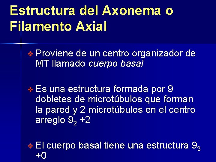 Estructura del Axonema o Filamento Axial v Proviene de un centro organizador de MT