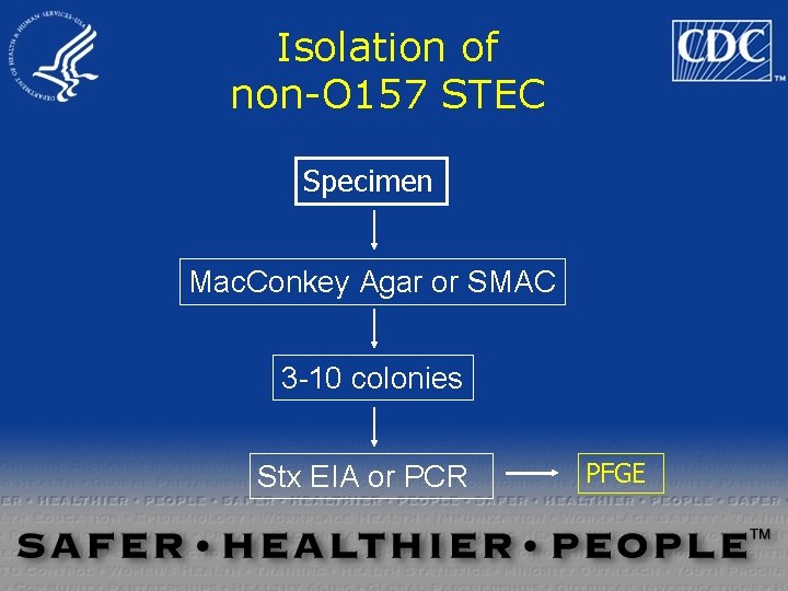 Isolation of non-O 157 STEC Specimen Mac. Conkey Agar or SMAC 3 -10 colonies Isolation of non-O 157 STEC Specimen Mac. Conkey Agar or SMAC 3 -10 colonies