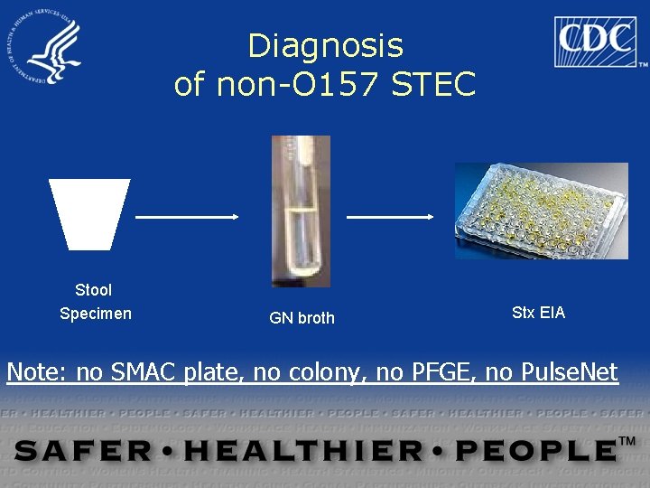 Diagnosis of non-O 157 STEC Stool Specimen GN broth Stx EIA Note: no SMAC Diagnosis of non-O 157 STEC Stool Specimen GN broth Stx EIA Note: no SMAC