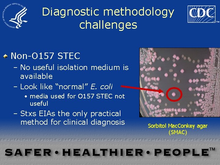 Diagnostic methodology challenges Non-O 157 STEC – No useful isolation medium is available – Diagnostic methodology challenges Non-O 157 STEC – No useful isolation medium is available –