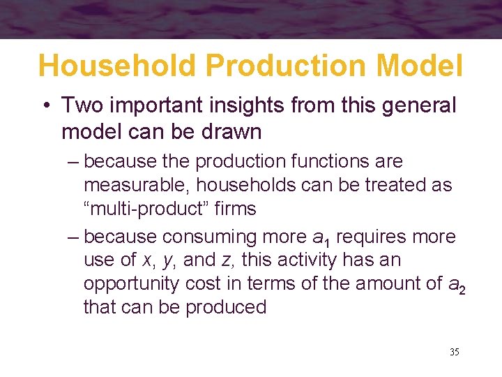 Household Production Model • Two important insights from this general model can be drawn