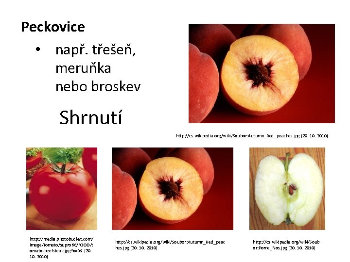 Peckovice • např. třešeň, meruňka nebo broskev Shrnutí http: //cs. wikipedia. org/wiki/Soubor: Autumn_Red_peaches. jpg