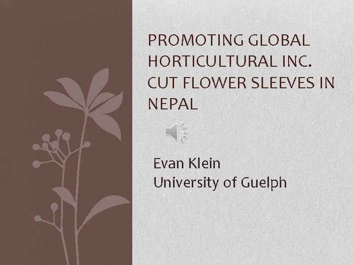 PROMOTING GLOBAL HORTICULTURAL INC. CUT FLOWER SLEEVES IN NEPAL Evan Klein University of Guelph