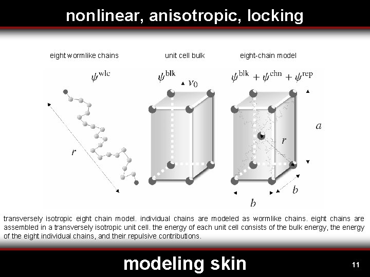 nonlinear, anisotropic, locking eight wormlike chains unit cell bulk eight-chain model transversely isotropic eight