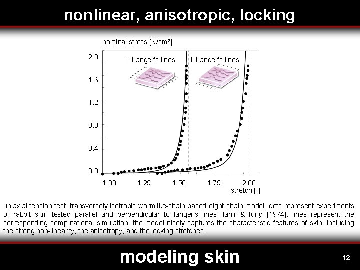 nonlinear, anisotropic, locking nominal stress [N/cm 2] 2. 0 || Langer’s lines 1. 6