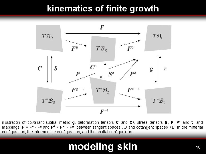 kinematics of finite growth illustration of covariant spatial metric g, deformation tensors C and