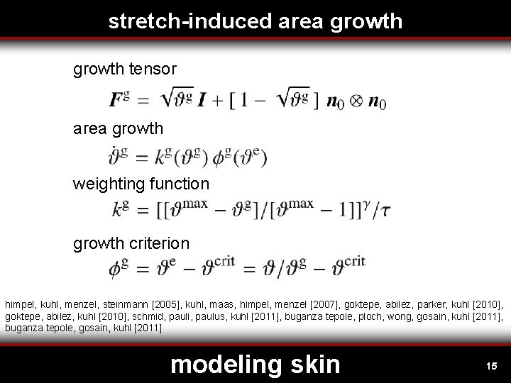 stretch-induced area growth tensor area growth weighting function growth criterion himpel, kuhl, menzel, steinmann