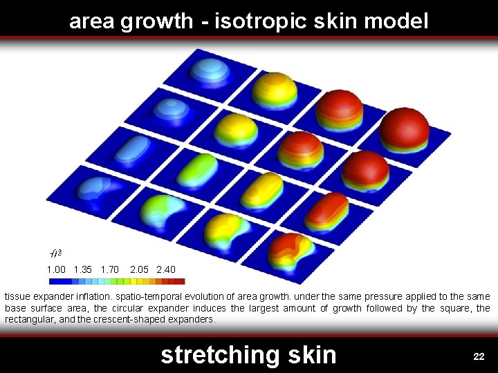 area growth - isotropic skin model 1. 00 1. 35 1. 70 2. 05