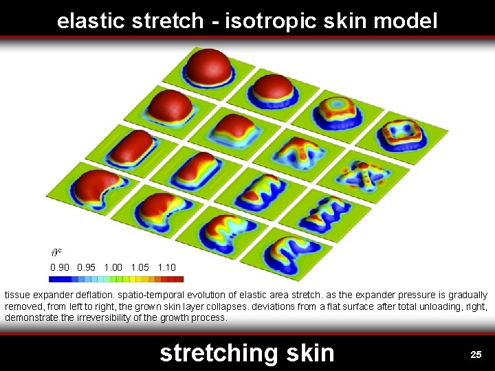 elastic stretch - isotropic skin model 0. 90 0. 95 1. 00 1. 05