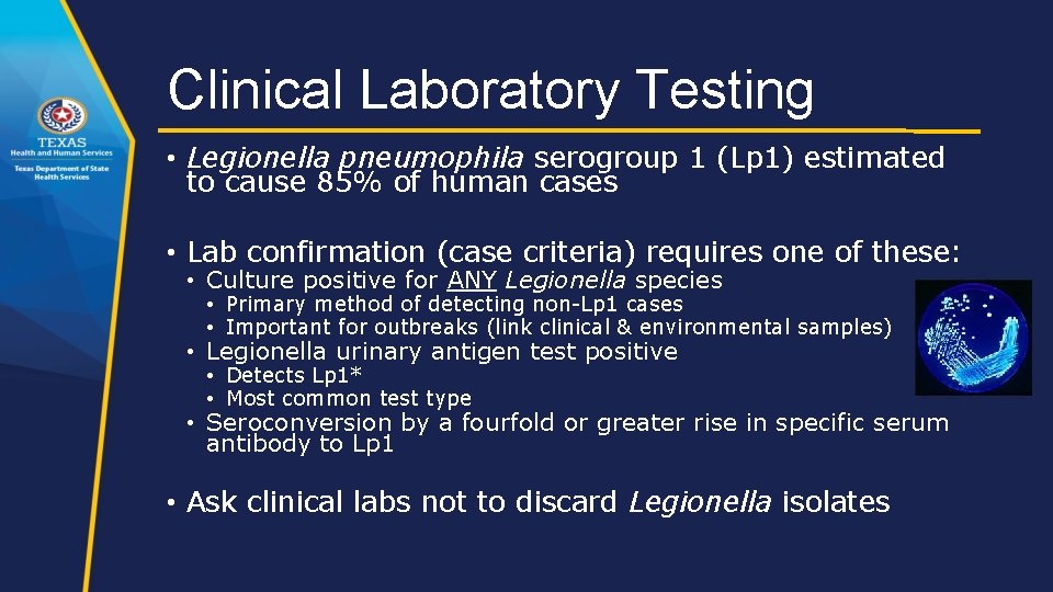 Clinical Laboratory Testing • Legionella pneumophila serogroup 1 (Lp 1) estimated to cause 85%