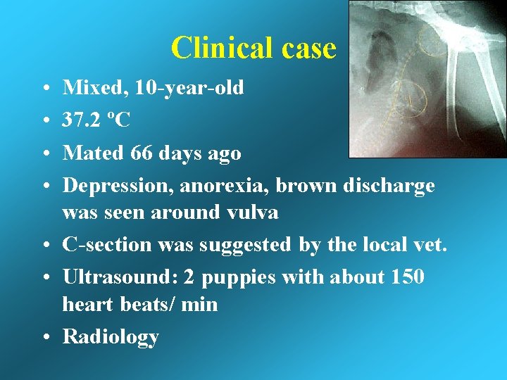 Clinical case • • Mixed, 10 -year-old 37. 2 ºC Mated 66 days ago Clinical case • • Mixed, 10 -year-old 37. 2 ºC Mated 66 days ago