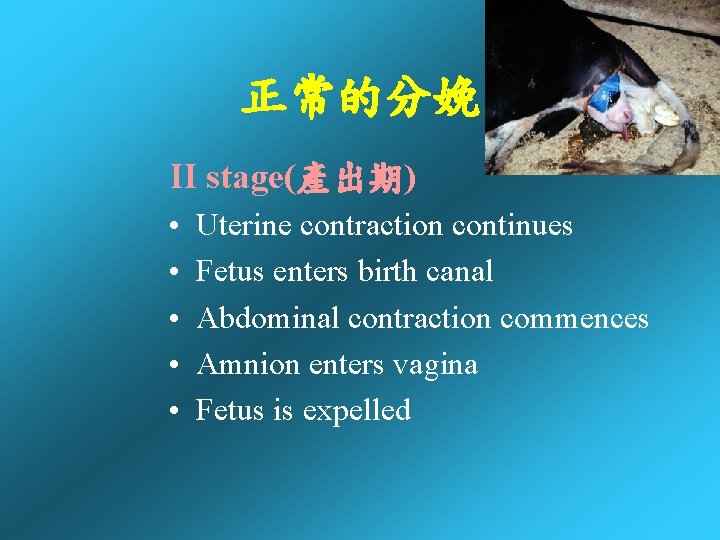 正常的分娩 II stage(產出期) • • • Uterine contraction continues Fetus enters birth canal Abdominal 正常的分娩 II stage(產出期) • • • Uterine contraction continues Fetus enters birth canal Abdominal