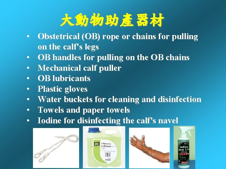 大動物助產器材 • Obstetrical (OB) rope or chains for pulling on the calf's legs • 大動物助產器材 • Obstetrical (OB) rope or chains for pulling on the calf's legs •