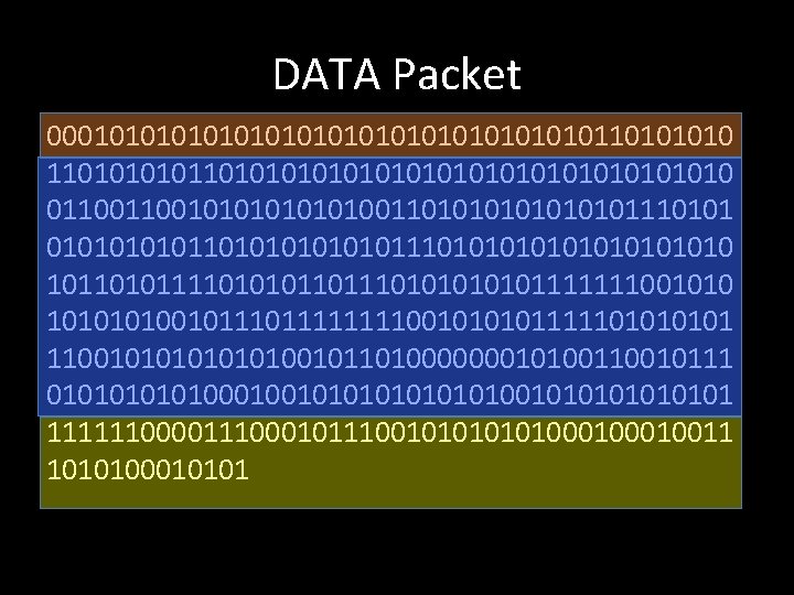 DATA Packet 000101010101010101011010101010101010101010 01100101010011010101011101010110101010101010101010 101101011110101011010101111111001010010111111110010111110101 1100101010010110100000001010010111 010101001010101001010101 111111000011100010111001010100010011 1010100010101 