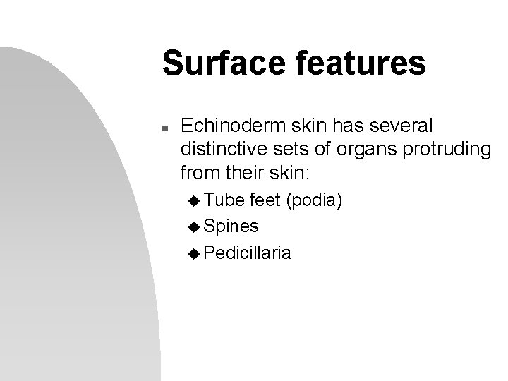 Surface features n Echinoderm skin has several distinctive sets of organs protruding from their