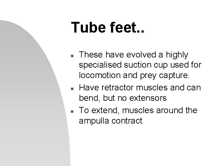 Tube feet. . n n n These have evolved a highly specialised suction cup