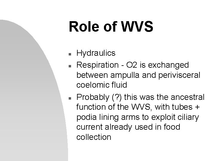 Role of WVS n n n Hydraulics Respiration - O 2 is exchanged between