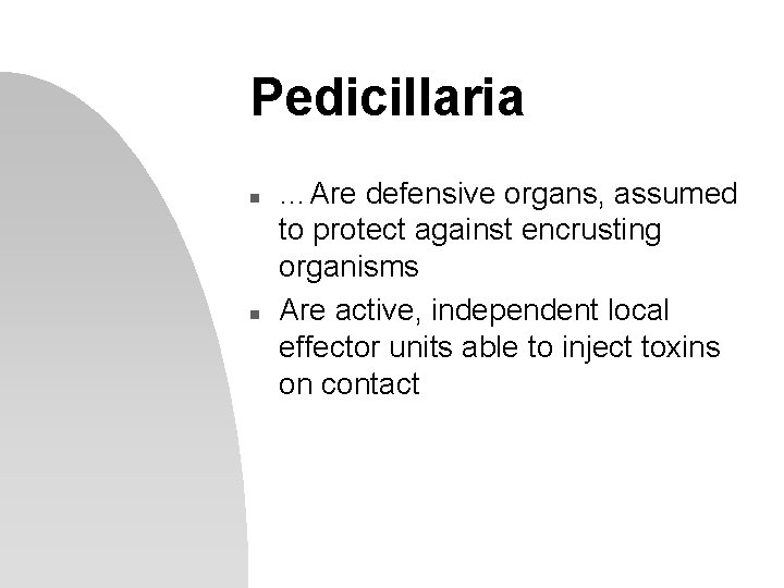 Pedicillaria n n …Are defensive organs, assumed to protect against encrusting organisms Are active,