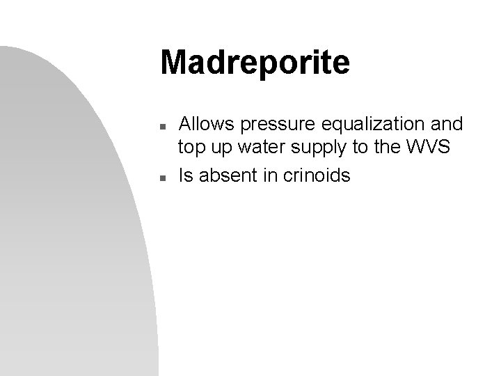 Madreporite n n Allows pressure equalization and top up water supply to the WVS