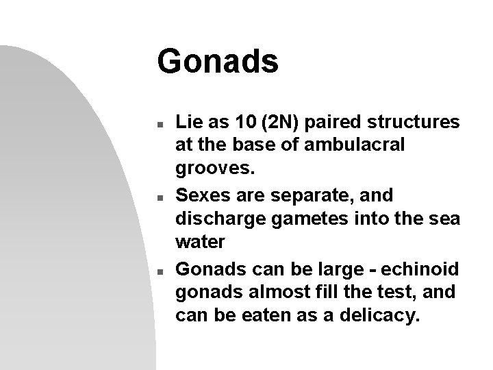 Gonads n n n Lie as 10 (2 N) paired structures at the base