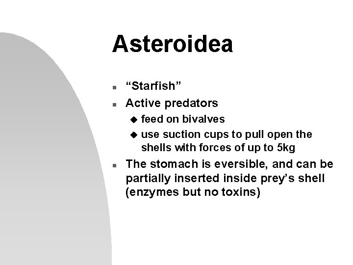 Asteroidea n n “Starfish” Active predators feed on bivalves u use suction cups to