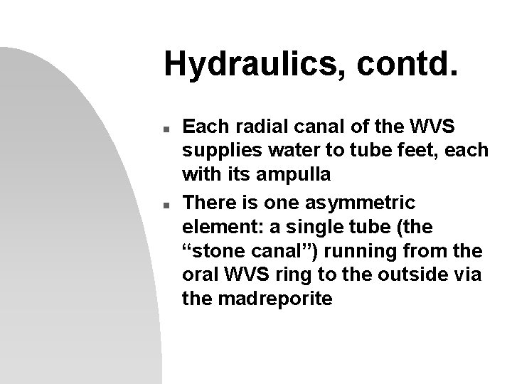 Hydraulics, contd. n n Each radial canal of the WVS supplies water to tube